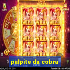 palpite da cobra